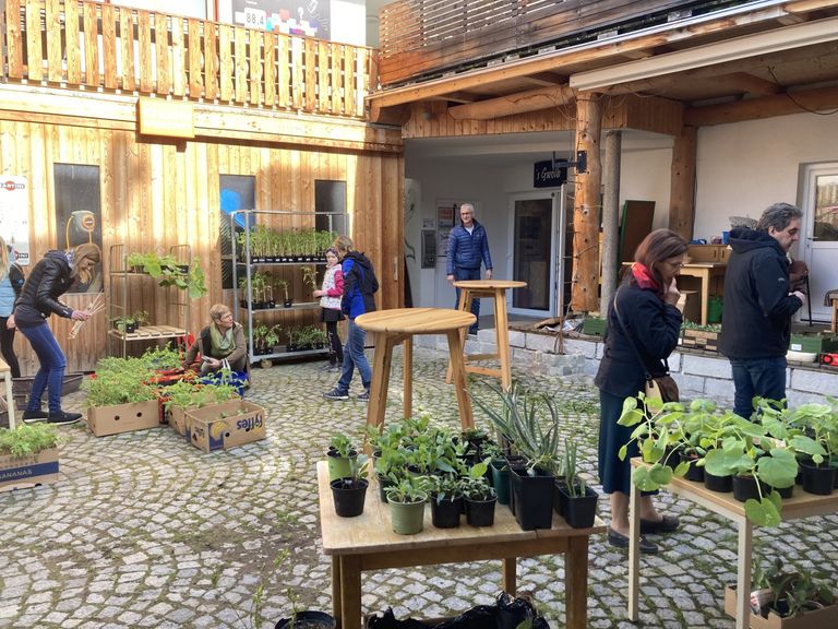 Pflanzerlmarkt im Otelo Weitersfelden Pflanzerlmarkt im Otelo Weitersfelden