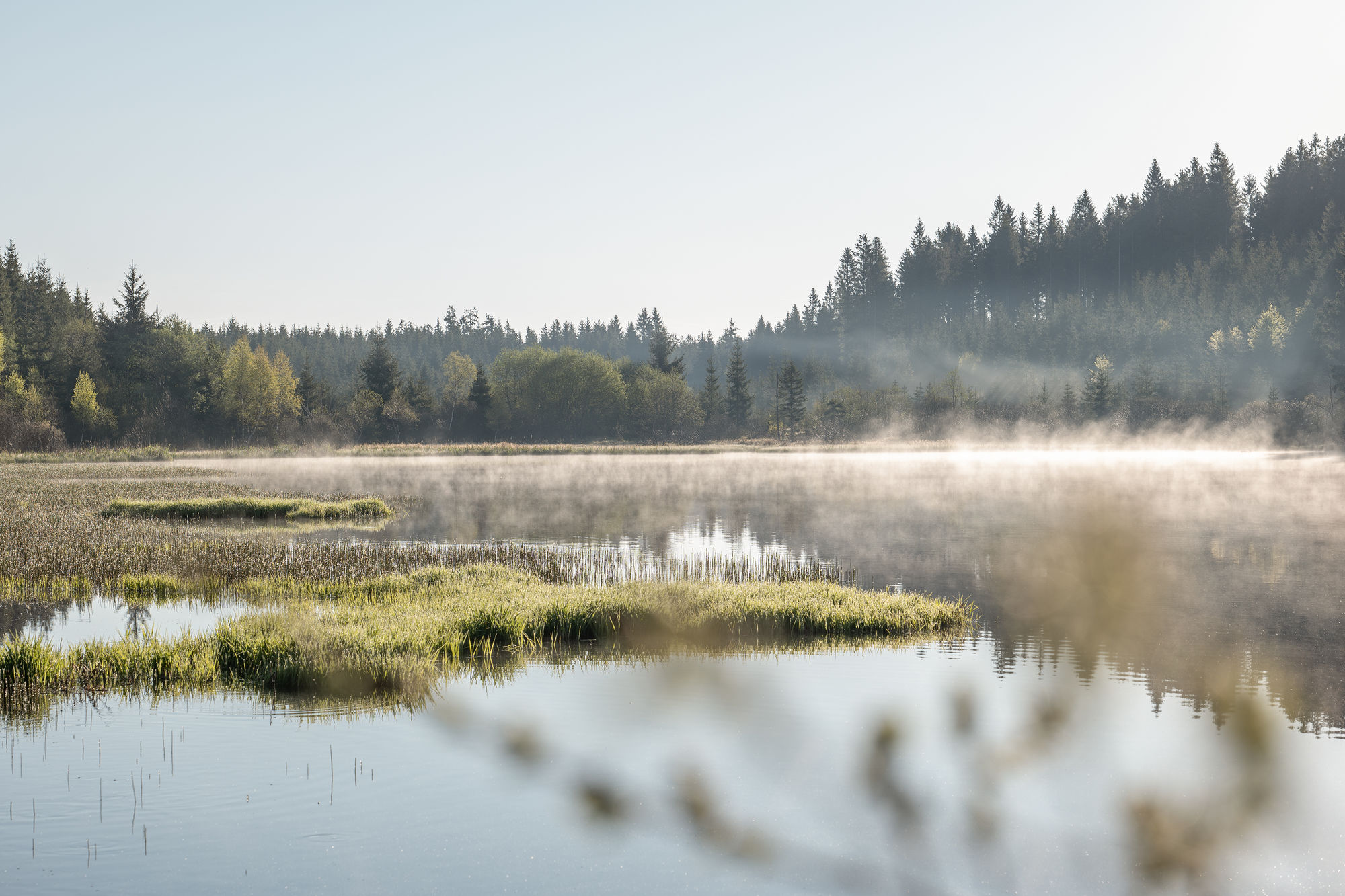 Blick auf den Rubnerteich am Morgen